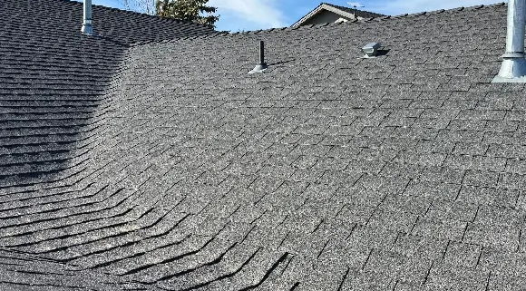 Roofing contractor services in Silver City Nevada
